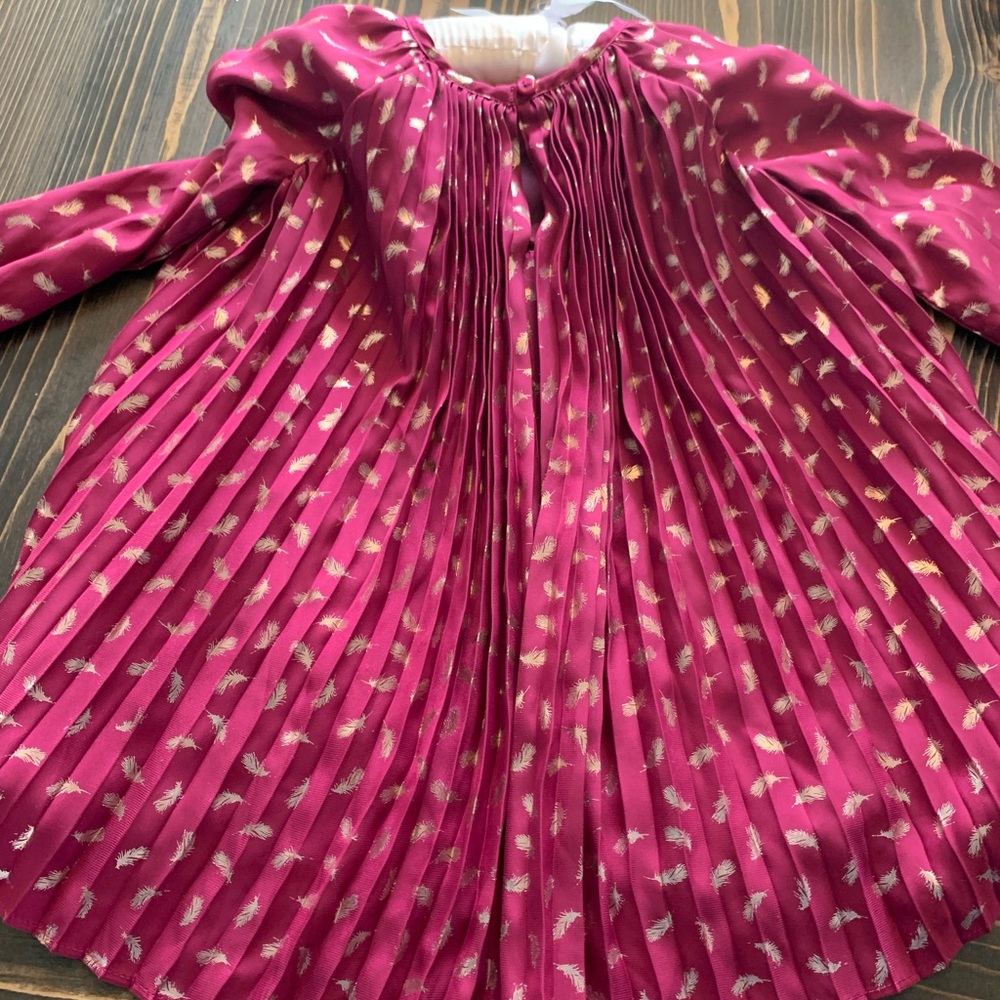 Wine colored dress with gold feather print